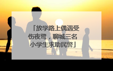 放学路上偶遇受伤夜鹭，聊城三名小学生求助民警
