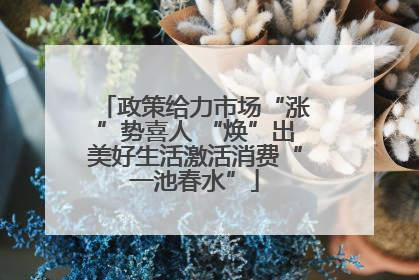 政策给力市场“涨”势喜人 “焕”出美好生活激活消费“一池春水”