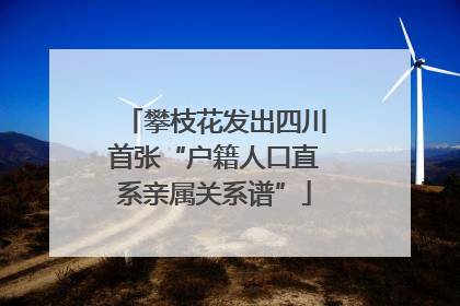 攀枝花发出四川首张“户籍人口直系亲属关系谱”