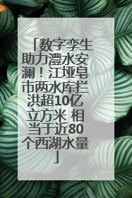 数字孪生助力澧水安澜！江垭皂市两水库拦洪超10亿立方米 相当于近80个西湖水量