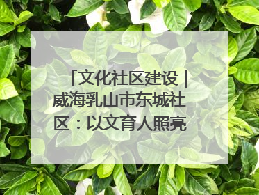 文化社区建设｜威海乳山市东城社区：以文育人照亮成长灯塔