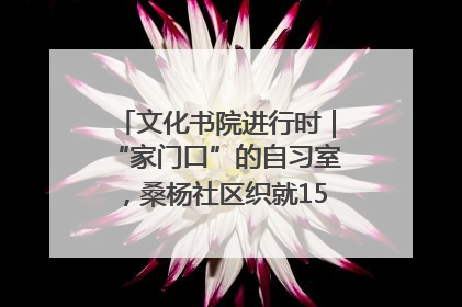 文化书院进行时｜“家门口”的自习室，桑杨社区织就15分钟学习生活圈