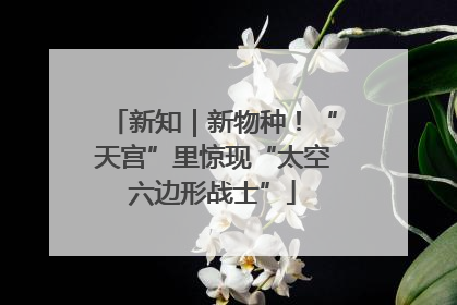 新知｜新物种！“天宫”里惊现“太空六边形战士”