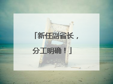 新任副省长，分工明确！