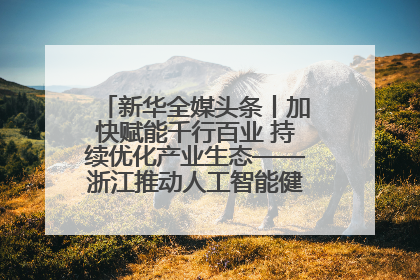 新华全媒头条丨加快赋能千行百业 持续优化产业生态——浙江推动人工智能健康有序发展观察