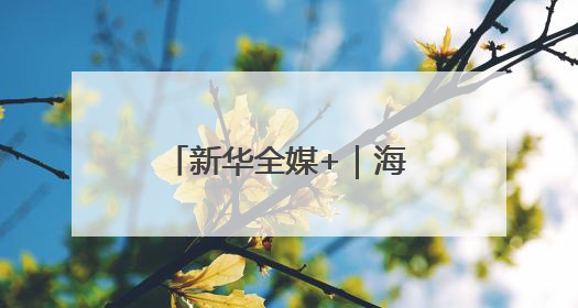 新华全媒+｜海南自贸港：政策创新赋能产业发展