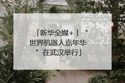 新华全媒+丨“世界机器人嘉年华”在武汉举行