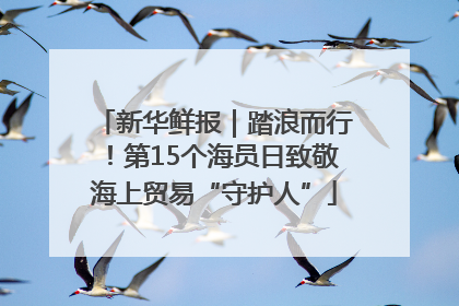 新华鲜报｜踏浪而行！第15个海员日致敬海上贸易“守护人”