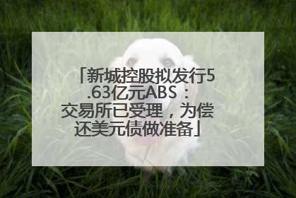新城控股拟发行5.63亿元ABS：交易所已受理，为偿还美元债做准备