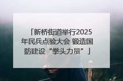 新桥街道举行2025年民兵点验大会 锻造国防建设“拳头力量”