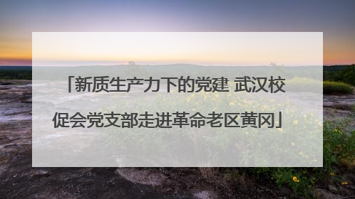 新质生产力下的党建 武汉校促会党支部走进革命老区黄冈