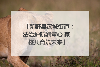 新野县汉城街道：法治护航润童心 家校共育筑未来
