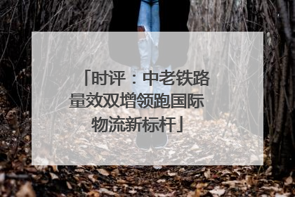 时评：中老铁路量效双增领跑国际物流新标杆