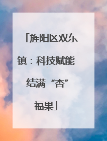 旌阳区双东镇：科技赋能 结满“杏”福果