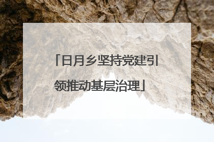 日月乡坚持党建引领推动基层治理