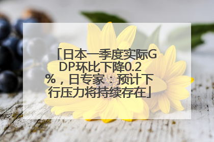 日本一季度实际GDP环比下降0.2%，日专家：预计下行压力将持续存在
