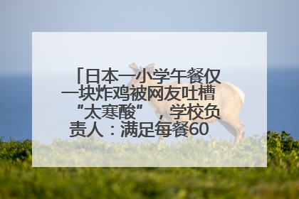 日本一小学午餐仅一块炸鸡被网友吐槽“太寒酸”，学校负责人：满足每餐600千卡的标准