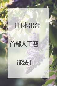 日本出台首部人工智能法