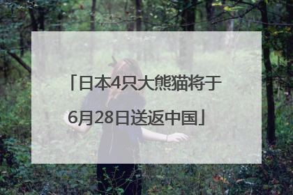 日本4只大熊猫将于6月28日送返中国