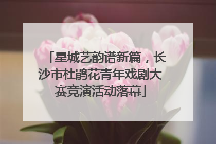 星城艺韵谱新篇，长沙市杜鹃花青年戏剧大赛竞演活动落幕