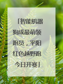 智能机器狗成最萌领跑员，平阳红色越野跑今日开赛