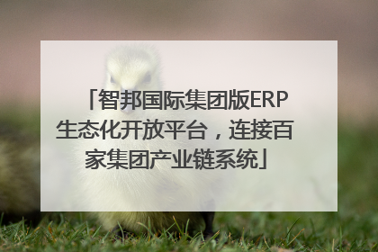 智邦国际集团版ERP生态化开放平台，连接百家集团产业链系统