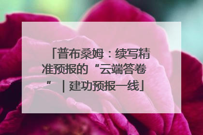 普布桑姆：续写精准预报的“云端答卷”｜建功预报一线