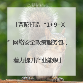 普陀打造“1+9+X”网络安全政策服务包，着力提升产业能级