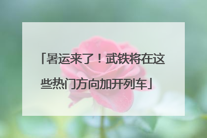 暑运来了！武铁将在这些热门方向加开列车