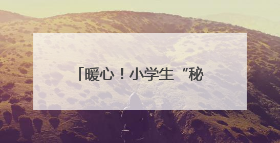 暖心！小学生“秘密”种植向日葵，赠高三学长学姐