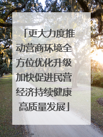 更大力度推动营商环境全方位优化升级加快促进民营经济持续健康高质量发展