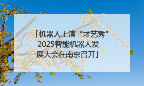 机器人上演“才艺秀” 2025智能机器人发展大会在南京召开