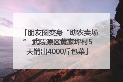 朋友圈变身“助农卖场” 武陵源区黄家坪村5天销出4000斤包菜