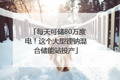 每天可储80万度电！这个大型锂钠混合储能站投产