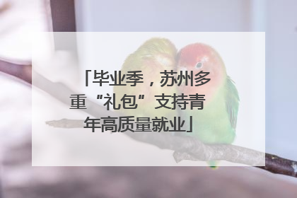 毕业季，苏州多重“礼包”支持青年高质量就业