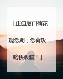 正值厦门荷花观赏期，赏荷攻略快收藏！