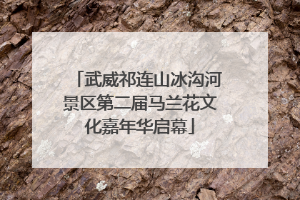 武威祁连山冰沟河景区第二届马兰花文化嘉年华启幕
