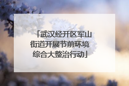 武汉经开区军山街道开展节前环境综合大整治行动