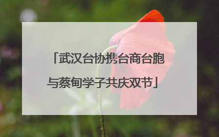 武汉台协携台商台胞与蔡甸学子共庆双节