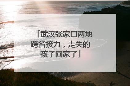 武汉张家口两地跨省接力，走失的孩子回家了