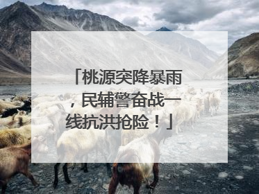 桃源突降暴雨，民辅警奋战一线抗洪抢险！