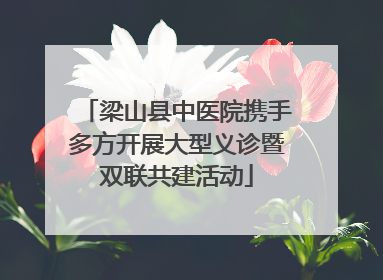 梁山县中医院携手多方开展大型义诊暨双联共建活动