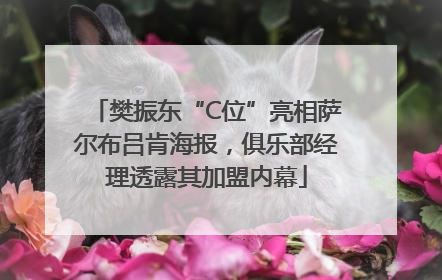 樊振东“C位”亮相萨尔布吕肯海报，俱乐部经理透露其加盟内幕