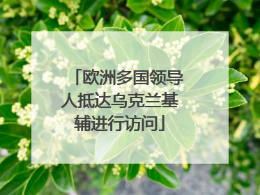 欧洲多国领导人抵达乌克兰基辅进行访问