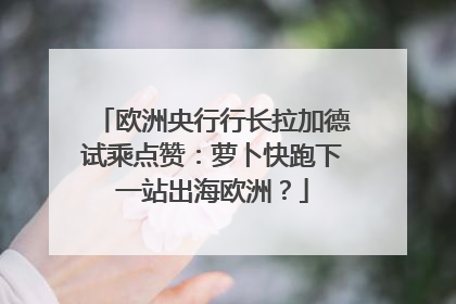 欧洲央行行长拉加德试乘点赞：萝卜快跑下一站出海欧洲？
