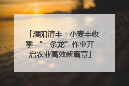 濮阳清丰：小麦丰收季 “一条龙”作业开启农业高效新篇章