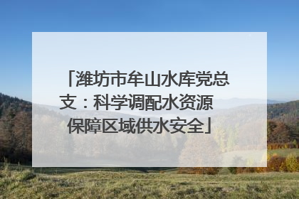 潍坊市牟山水库党总支：科学调配水资源 保障区域供水安全