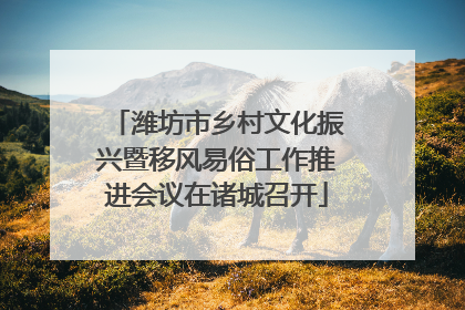 潍坊市乡村文化振兴暨移风易俗工作推进会议在诸城召开
