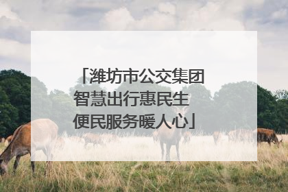 潍坊市公交集团智慧出行惠民生 便民服务暖人心