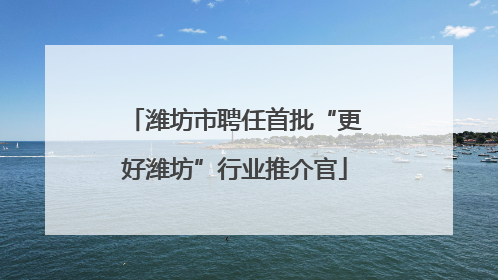 潍坊市聘任首批“更好潍坊”行业推介官